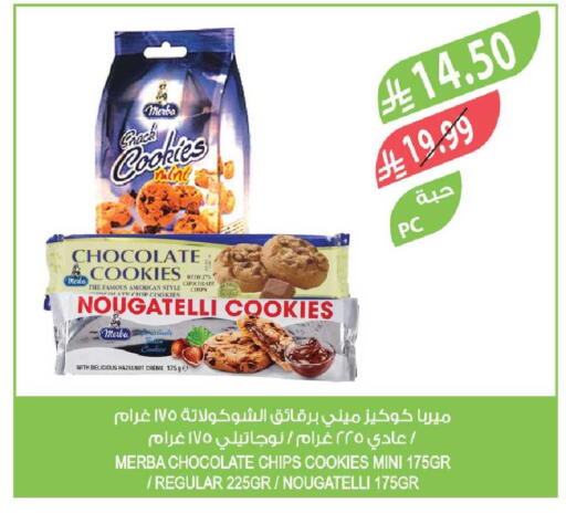 Mint available at Farm  in KSA, Saudi Arabia, Saudi - Tabuk