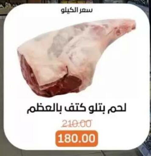 available at بيت الجملة in Egypt - القاهرة