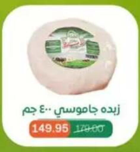 available at بيت الجملة in Egypt - القاهرة