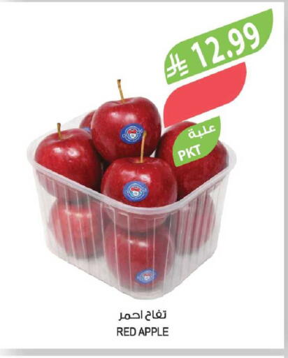 Apple available at Farm  in KSA, Saudi Arabia, Saudi - Najran