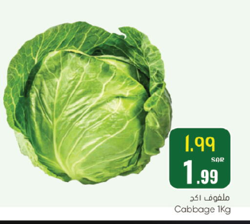 Cabbage available at ستي فلاور in مملكة العربية السعودية, السعودية, سعودية - حائل‎