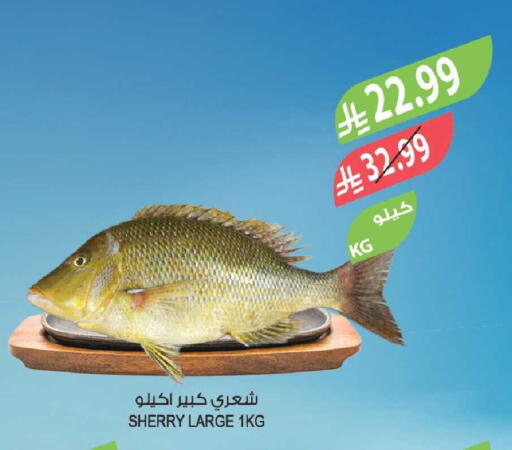 available at المزرعة in مملكة العربية السعودية, السعودية, سعودية - أبها