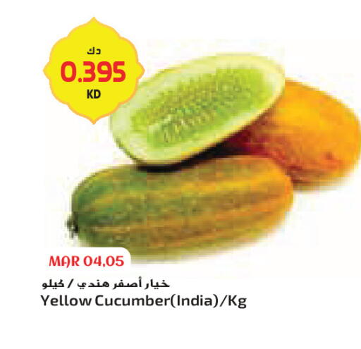 Cucumber from India available at جراند كوستو in الكويت - محافظة الأحمدي