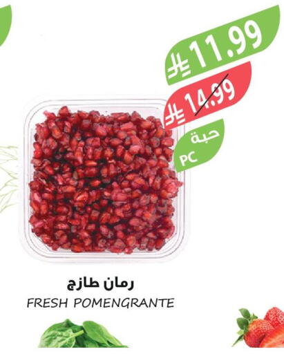 available at المزرعة in مملكة العربية السعودية, السعودية, سعودية - الخرج