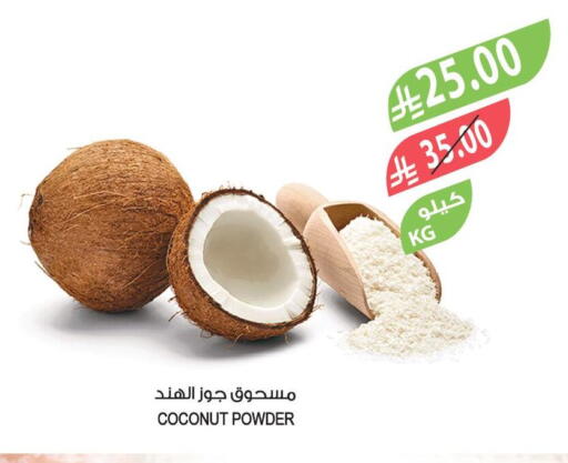 Coconut available at Farm  in KSA, Saudi Arabia, Saudi - Saihat