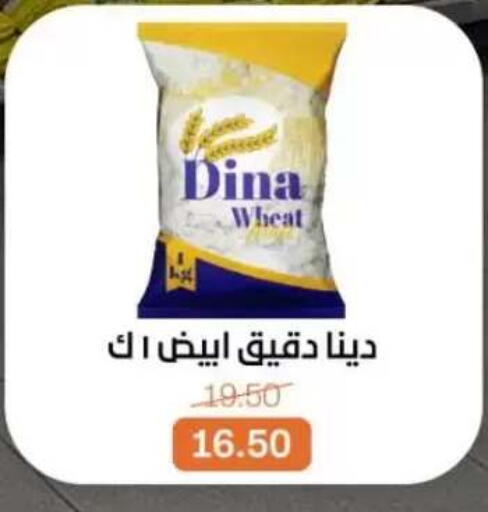 available at بيت الجملة in Egypt - القاهرة