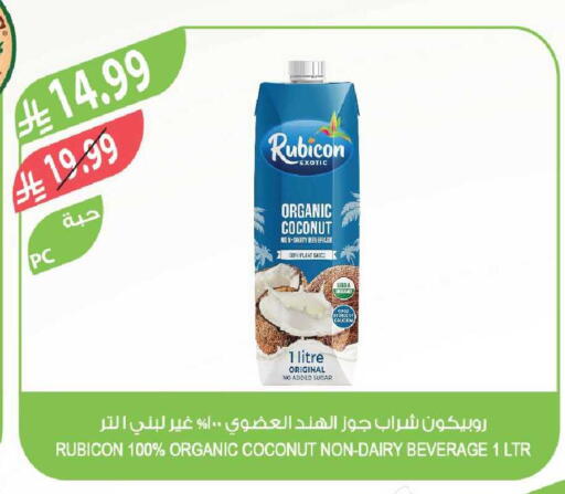 Coconut available at Farm  in KSA, Saudi Arabia, Saudi - Abha