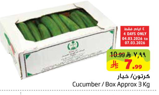 Cucumber available at ليان هايبر in مملكة العربية السعودية, السعودية, سعودية - المنطقة الشرقية