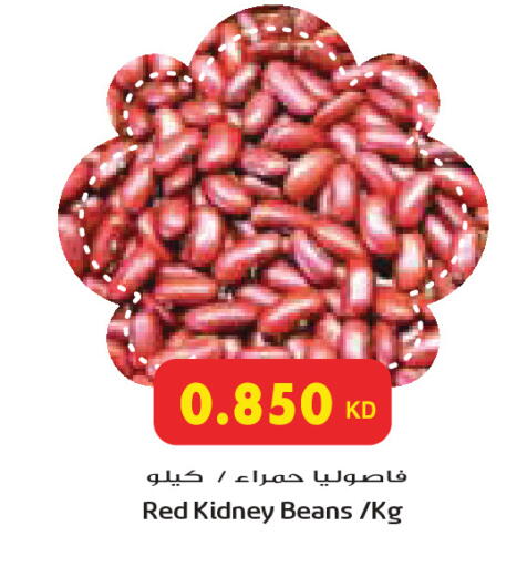 available at جراند كوستو in الكويت - محافظة الأحمدي