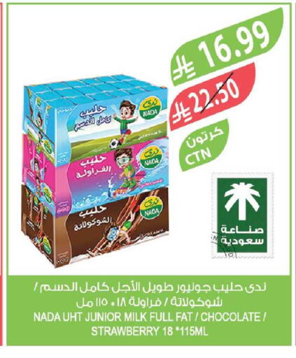 Strawberry available at المزرعة in مملكة العربية السعودية, السعودية, سعودية - الباحة