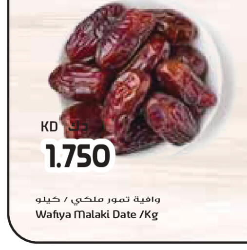 Date available at Grand Costo in Kuwait - Ahmadi Governorate