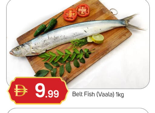 available at سوق طلال in الإمارات العربية المتحدة , الامارات - دبي