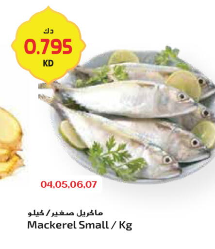 available at جراند هايبر in الكويت - محافظة الأحمدي