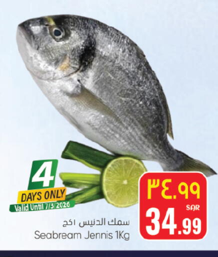 available at City Flower in KSA, Saudi Arabia, Saudi - Hail