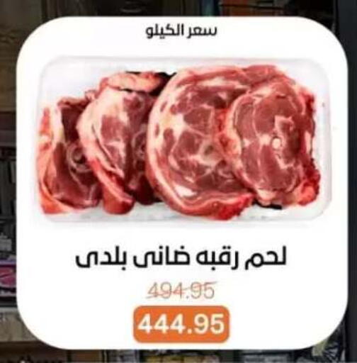 available at بيت الجملة in Egypt - القاهرة