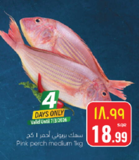 available at ستي فلاور in مملكة العربية السعودية, السعودية, سعودية - نجران