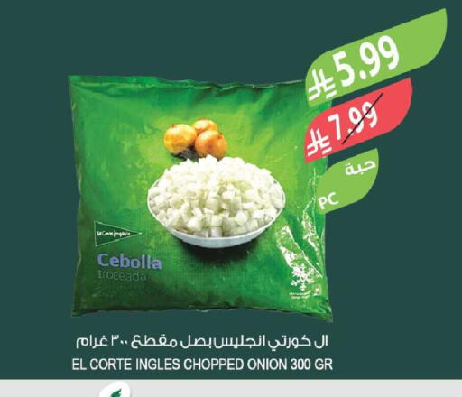 Onion available at Farm  in KSA, Saudi Arabia, Saudi - Yanbu