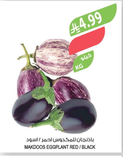 Eggplant available at المزرعة in مملكة العربية السعودية, السعودية, سعودية - الخرج