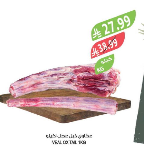 available at المزرعة in مملكة العربية السعودية, السعودية, سعودية - جدة