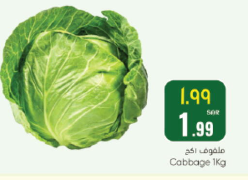 Cabbage available at ستي فلاور in مملكة العربية السعودية, السعودية, سعودية - سكاكا