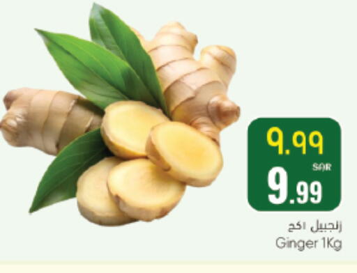 Ginger available at ستي فلاور in مملكة العربية السعودية, السعودية, سعودية - سكاكا