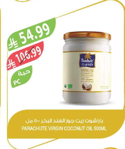 Coconut available at Farm  in KSA, Saudi Arabia, Saudi - Yanbu