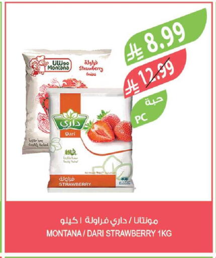 Strawberry available at المزرعة in مملكة العربية السعودية, السعودية, سعودية - جازان