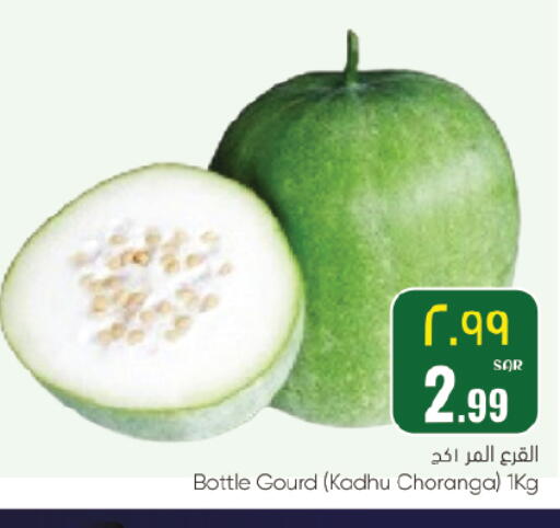 available at ستي فلاور in مملكة العربية السعودية, السعودية, سعودية - حائل‎