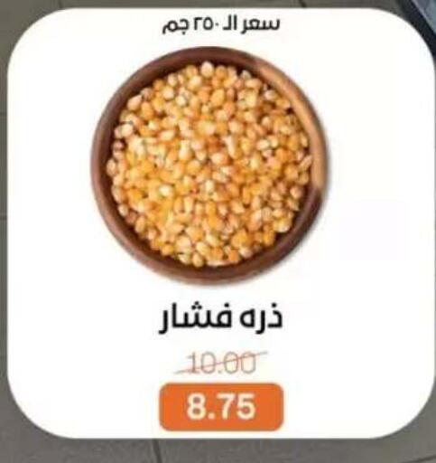 available at Beit El Gomla in Egypt - Cairo