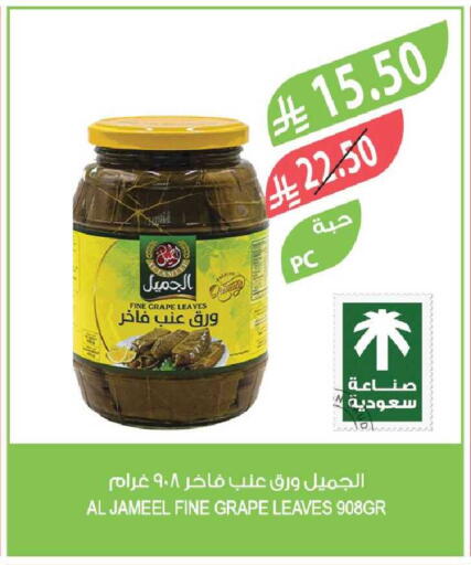 available at Farm  in KSA, Saudi Arabia, Saudi - Yanbu