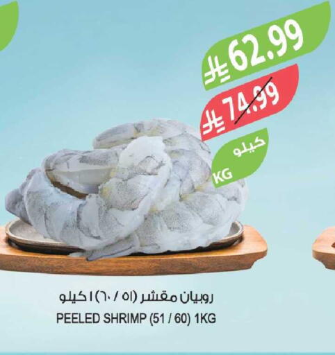 available at المزرعة in مملكة العربية السعودية, السعودية, سعودية - أبها