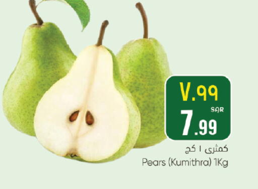 available at City Flower in KSA, Saudi Arabia, Saudi - Jubail