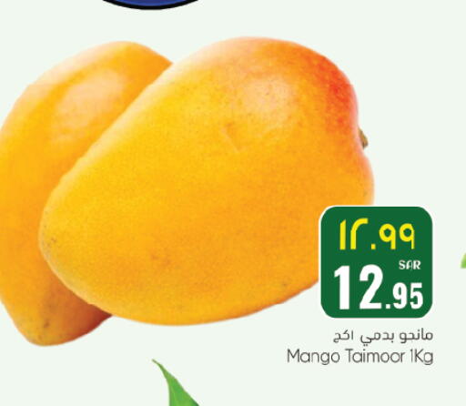 Mango available at ستي فلاور in مملكة العربية السعودية, السعودية, سعودية - حائل‎