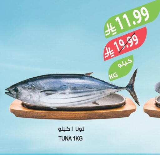 available at المزرعة in مملكة العربية السعودية, السعودية, سعودية - جدة