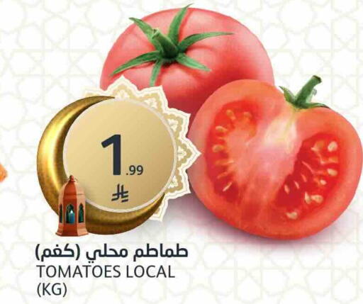 Tomato available at AlJazera Shopping Center in KSA, Saudi Arabia, Saudi - Riyadh