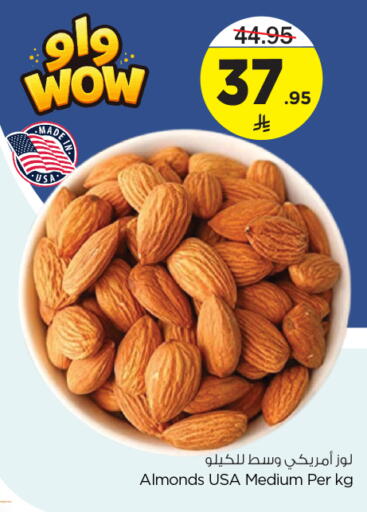 available at نستو in مملكة العربية السعودية, السعودية, سعودية - الخرج