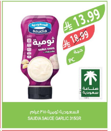 Garlic available at Farm  in KSA, Saudi Arabia, Saudi - Najran