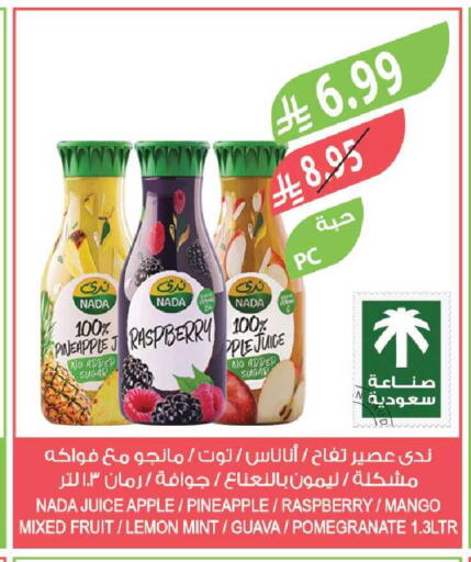 Raspberry Apple Pineapple Mango Lemon Guava Pomegranate Mint available at Farm  in KSA, Saudi Arabia, Saudi - Al Bahah