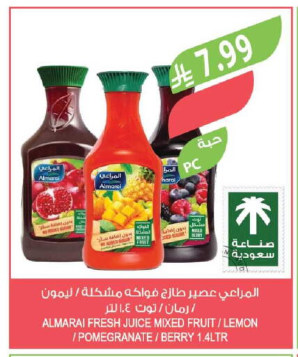 Lemon Pomegranate available at Farm  in KSA, Saudi Arabia, Saudi - Yanbu