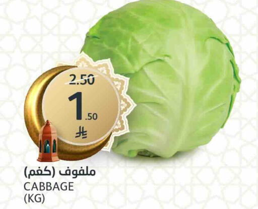 Cabbage available at AlJazera Shopping Center in KSA, Saudi Arabia, Saudi - Riyadh