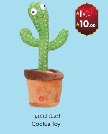 available at ستي فلاور in مملكة العربية السعودية, السعودية, سعودية - حفر الباطن