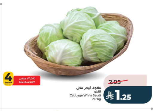Cabbage from Saudi Arabia available at LULU Hypermarket in KSA, Saudi Arabia, Saudi - Dammam