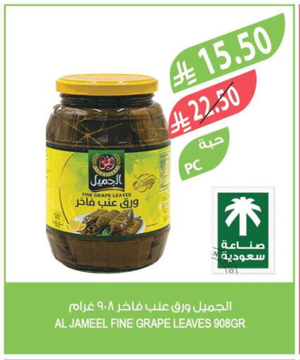 available at المزرعة in مملكة العربية السعودية, السعودية, سعودية - الأحساء‎
