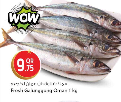 available at سفاري هايبر ماركت in قطر - الضعاين