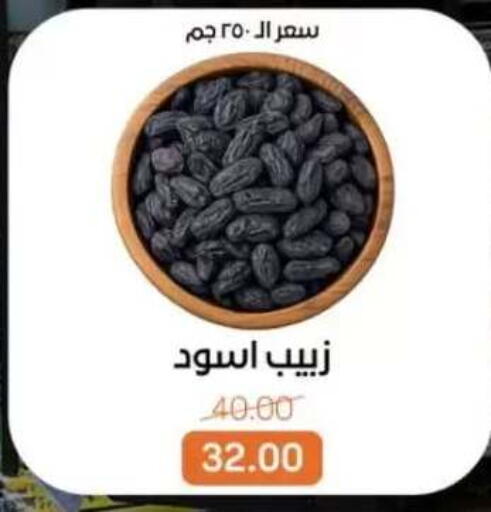 available at بيت الجملة in Egypt - القاهرة