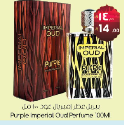 available at City Flower in KSA, Saudi Arabia, Saudi - Hail