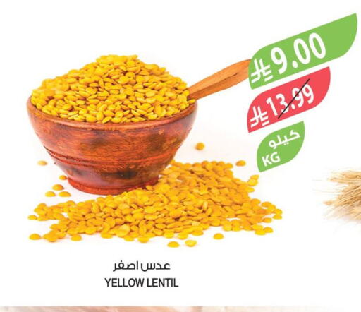 available at المزرعة in مملكة العربية السعودية, السعودية, سعودية - الخرج