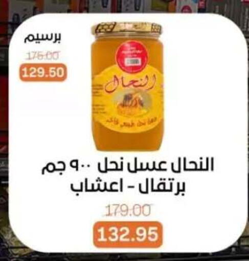 available at Beit El Gomla in Egypt - Cairo