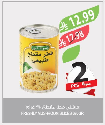 Mushroom available at Farm  in KSA, Saudi Arabia, Saudi - Qatif