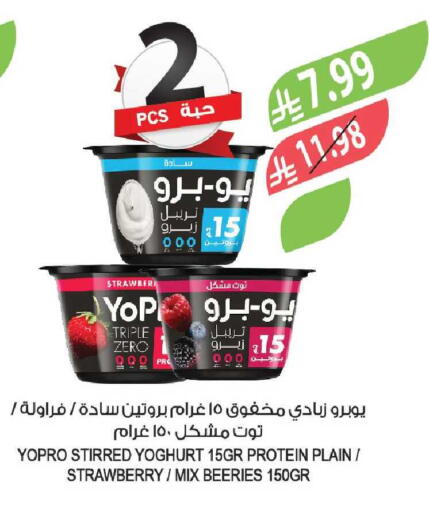 Strawberry available at المزرعة in مملكة العربية السعودية, السعودية, سعودية - جازان